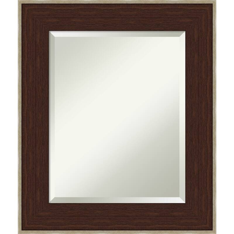 Beveled Bathroom Wall Mirror - William Frame