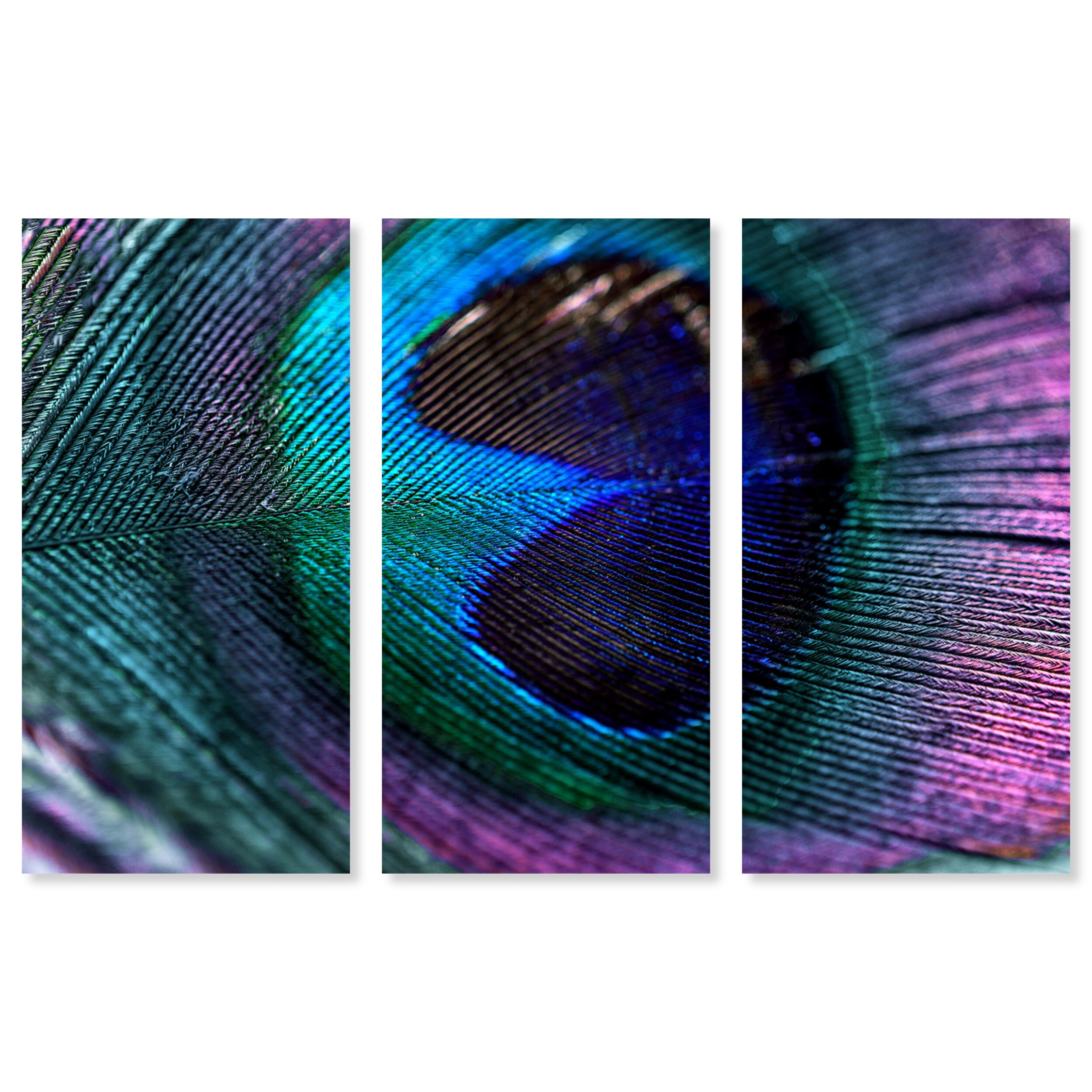 Oliver Gal 'Royal Peacock Feather Triptyc' Animals Wall Art Canvas Print  Set - Blue, Purple