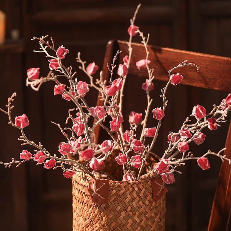 RusticReach Sujin Dried Fruit Branch Stem 28" Tall