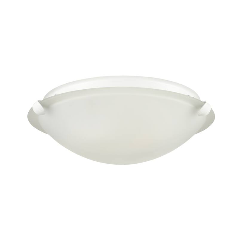 Millennium Lighting 2 Light Flush Mount Fixture