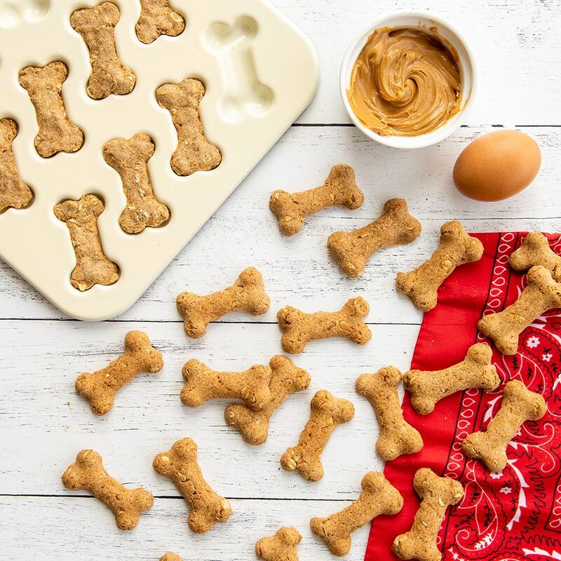 Nordic Ware 2 Piece Puppy Love Treat Pan and Dog Treat Mix - Blue