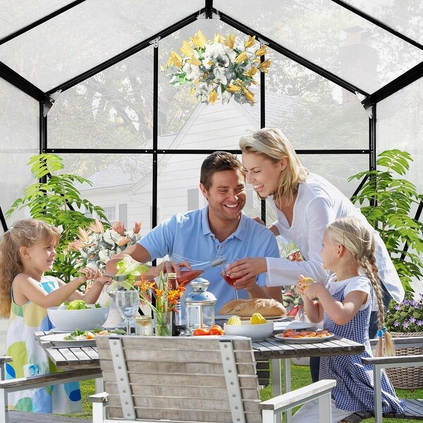 6x6 FT Greenhouses - 6