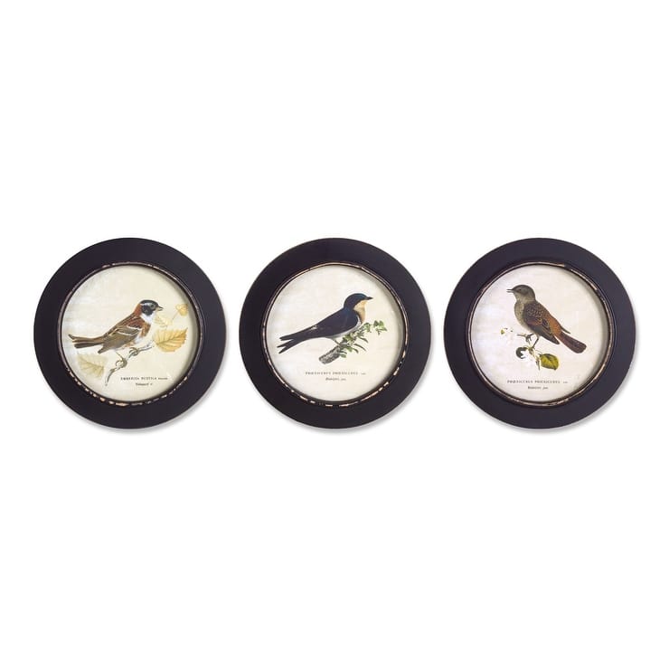 Framed Bird Print (Set of 3) - Multi-Color