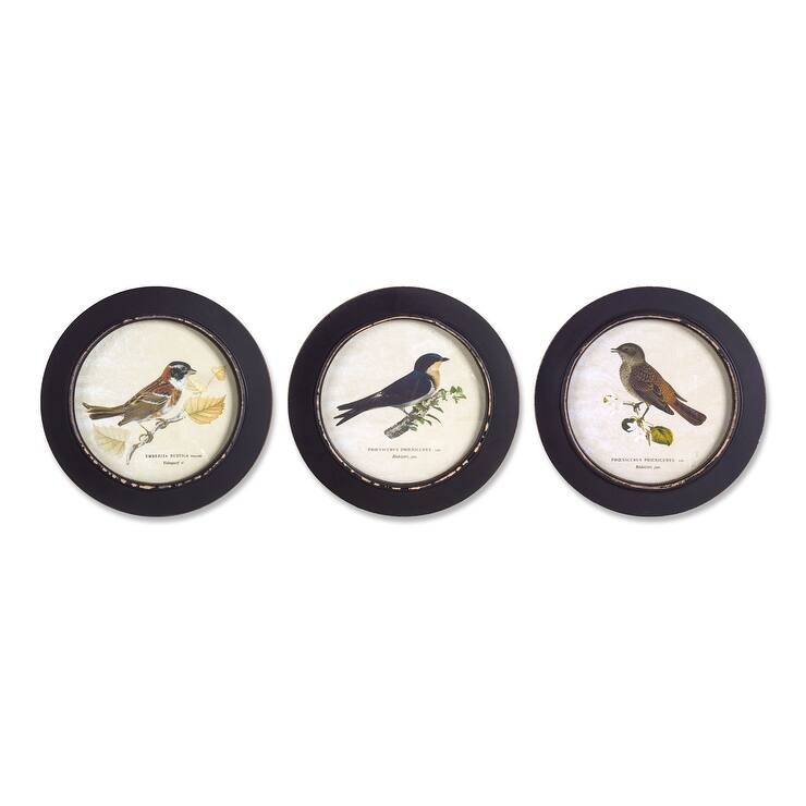 Framed Bird Print (Set of 3) - Overstock - 37524424