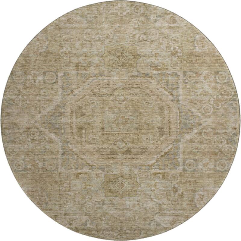 Premium Washable Super Soft Vintage Traditional Mayfield Rug