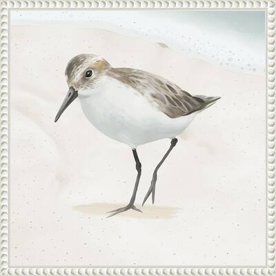 Sandpiper on the Beach II by Lucca Sheppard Framed Canvas Wall Art Print - Sylvie Beaded White