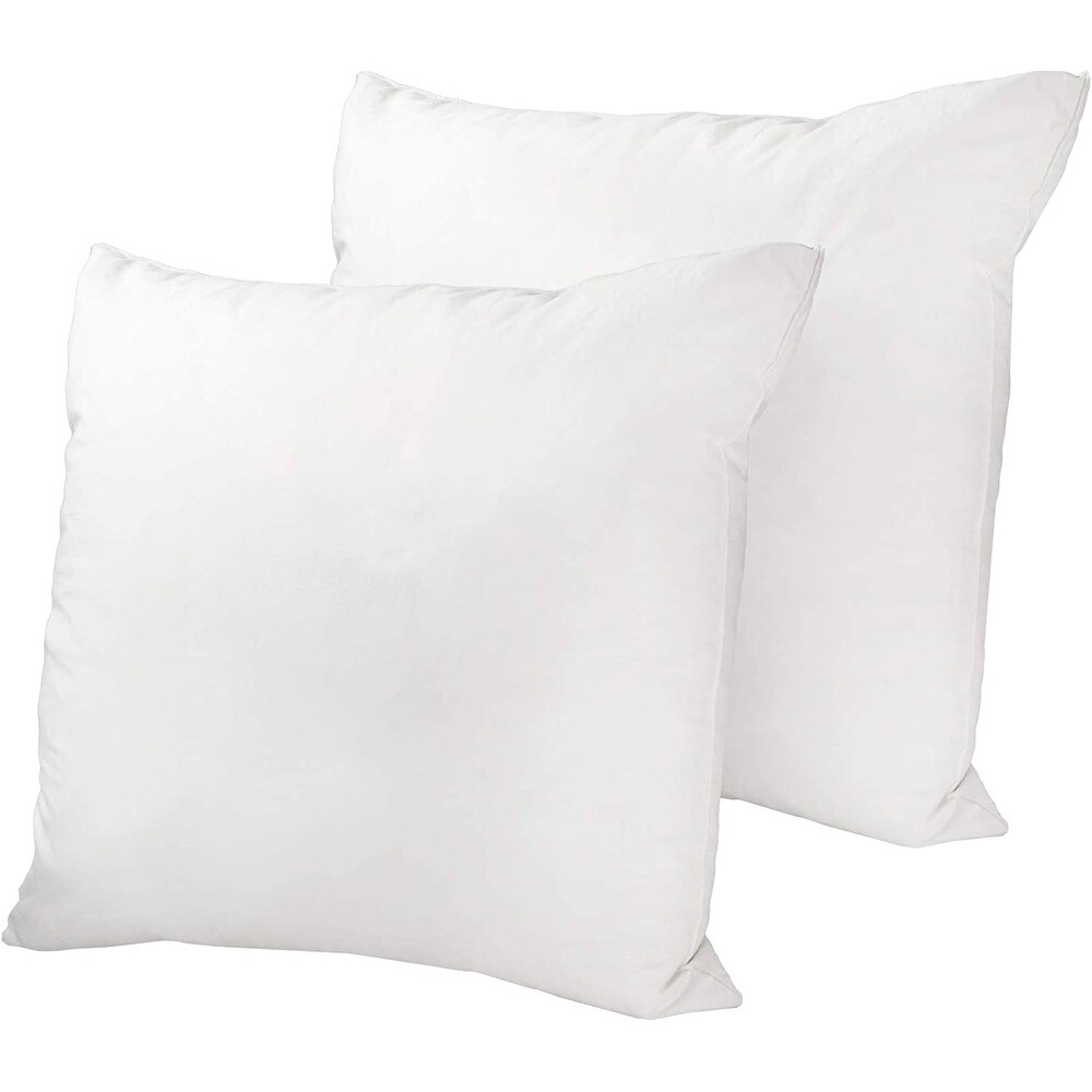 https://ak1.ostkcdn.com/images/products/is/images/direct/54d91d37ce514abff342051b737353dbbdbd56df/Polyester-Replacement-Cushion-Insert-in-Assorted-Sizes%2C-2-or-4-Pack.jpg