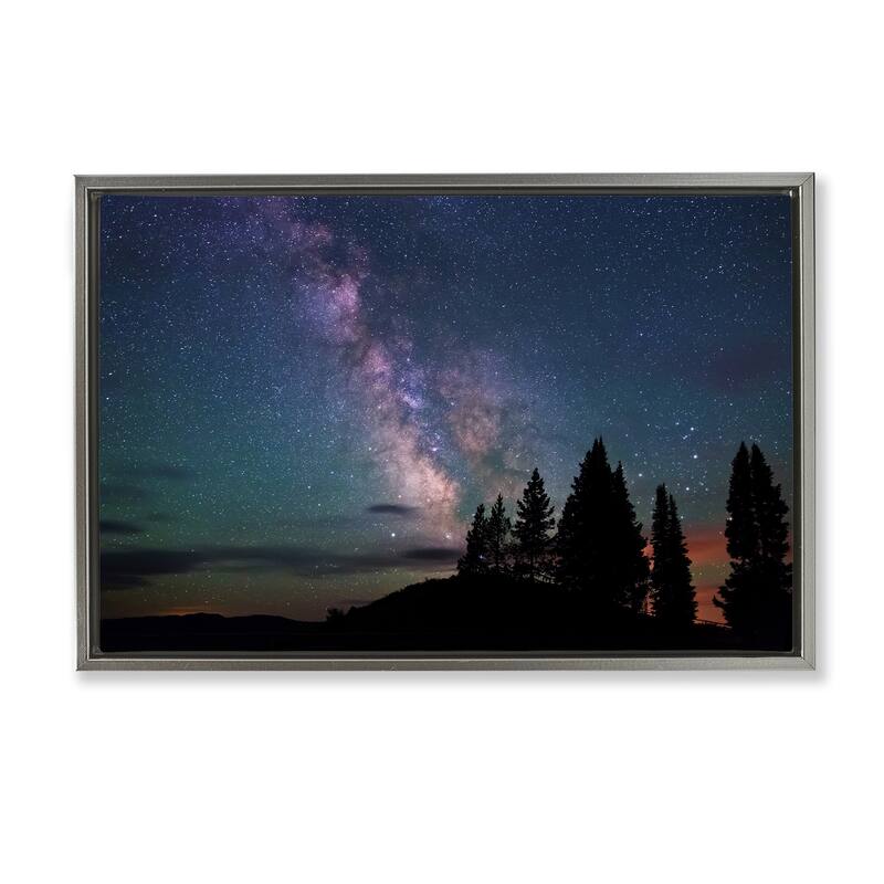 Stupell Silhouetted Forest & Night Sky Framed Floater Canvas Wall Art Design By Royce Bair - 25 x 17 - Grey