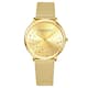 Option Gold
