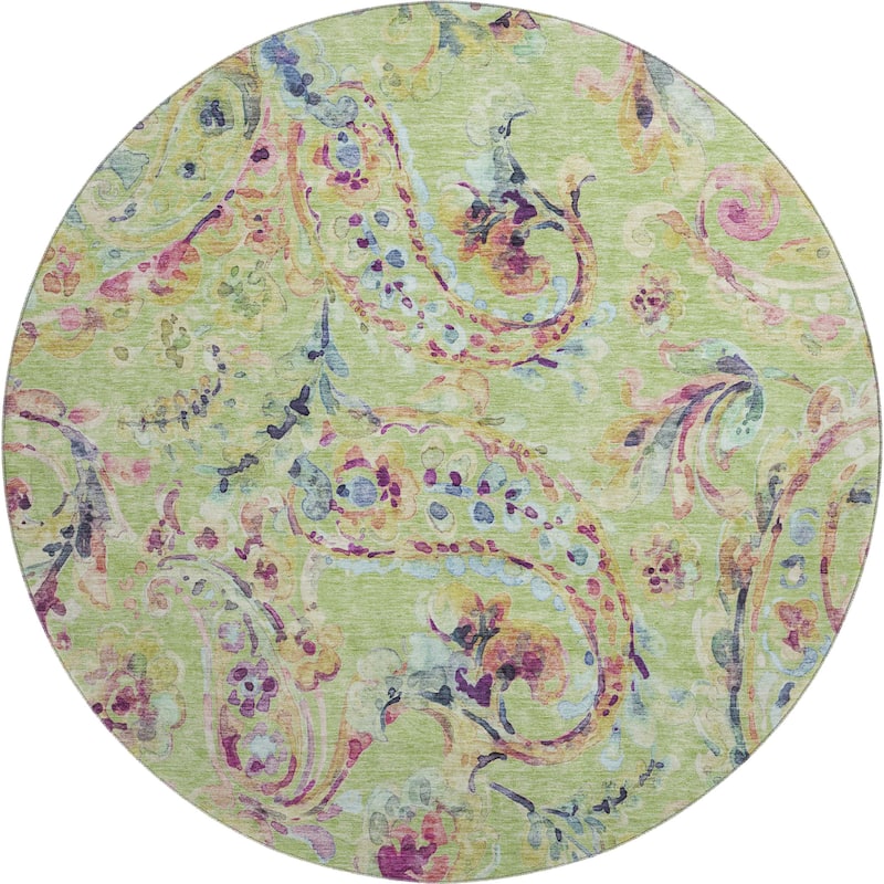 Premium Washable Super Soft Paisley Mayfield Rug