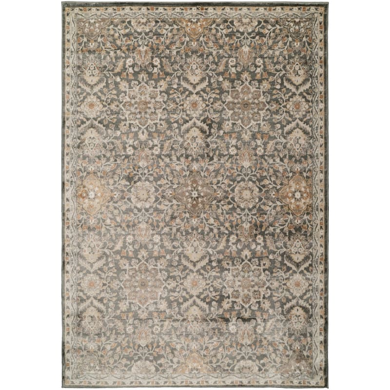 Dynamic Rugs Charlotte Traditional Area Rug