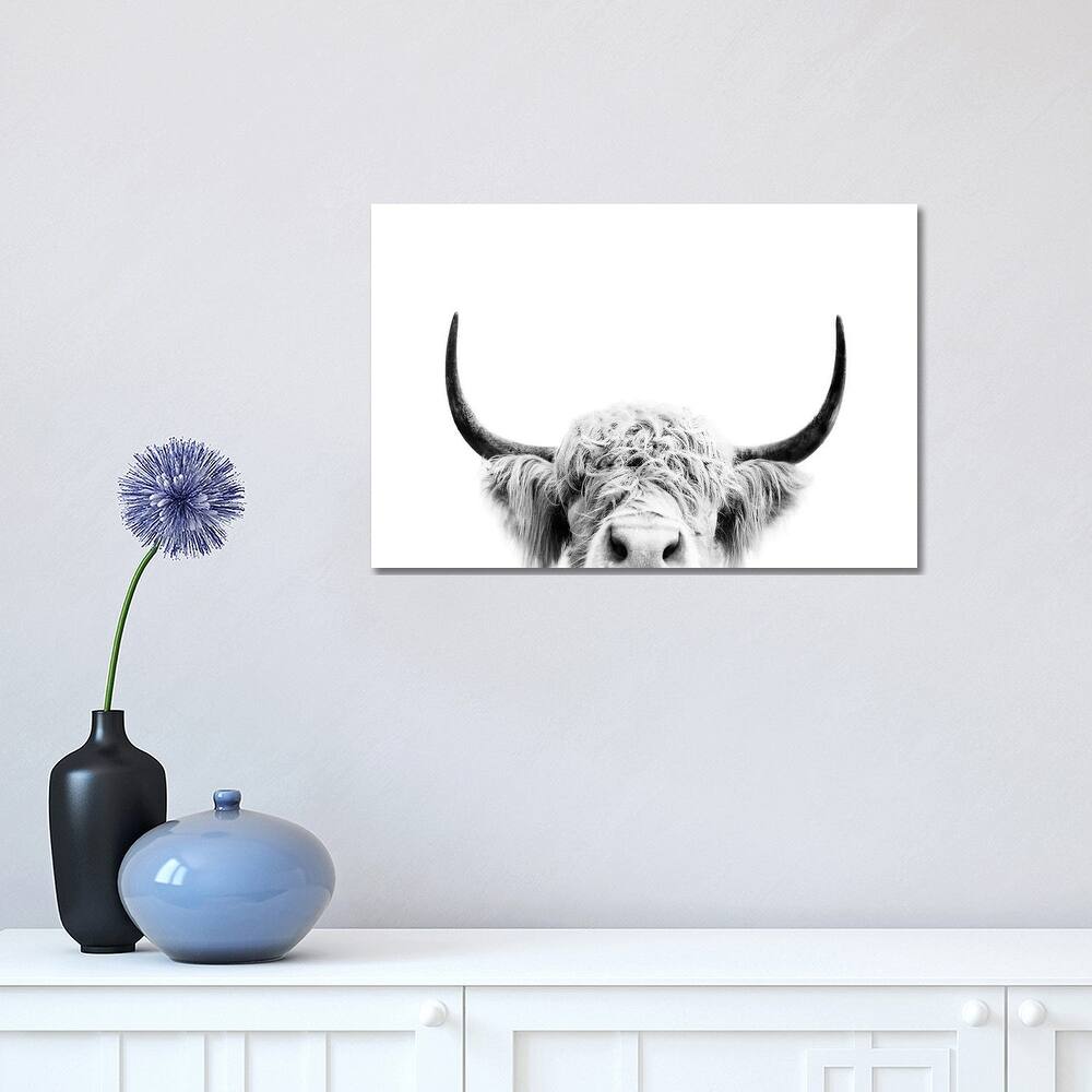 iCanvas "Peeking Cow In Black & White" by Sisi & Seb Canvas Print