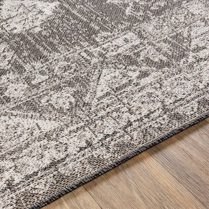 Susannah Indoor / Outdoor Updated Traditional Area Rug
