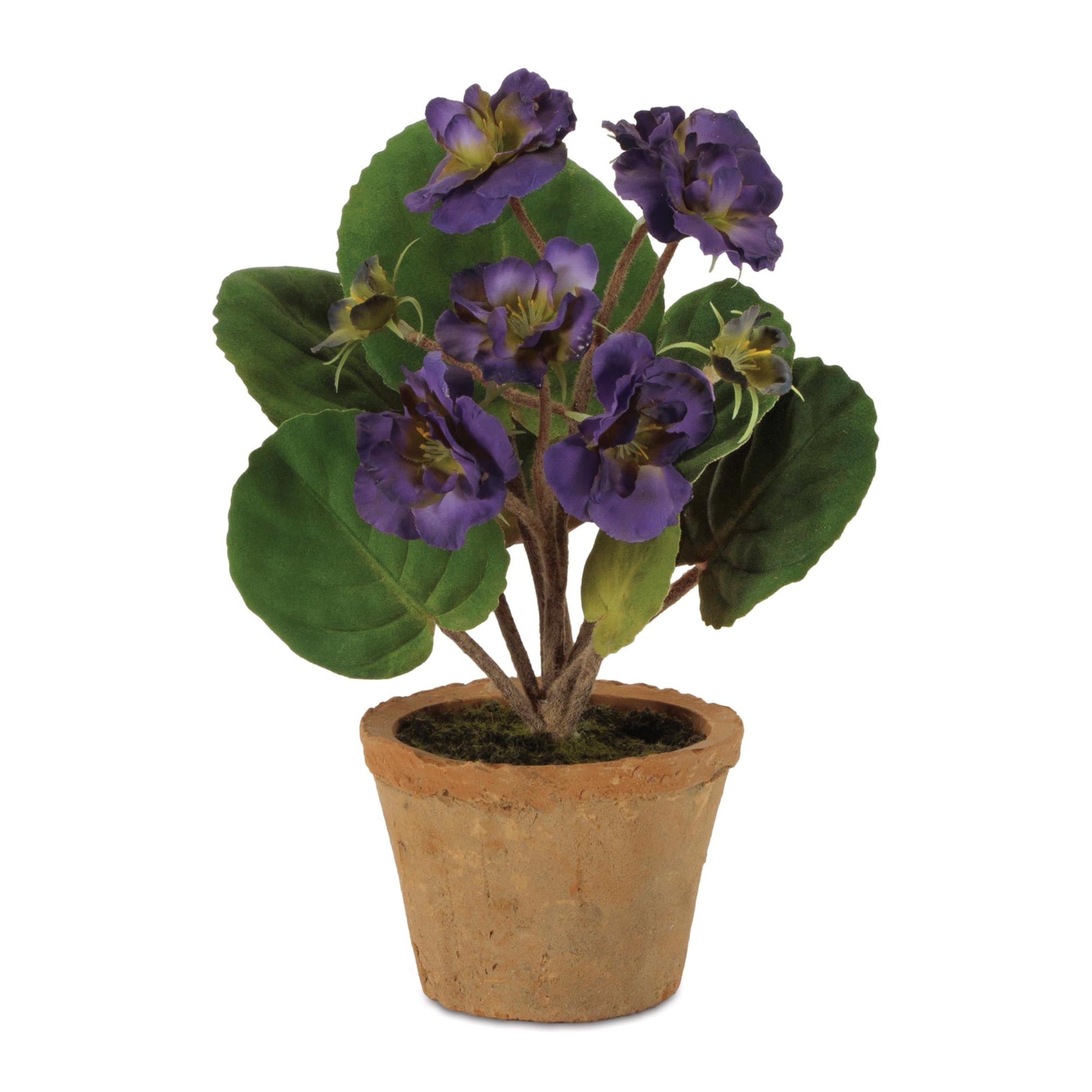 product_img5