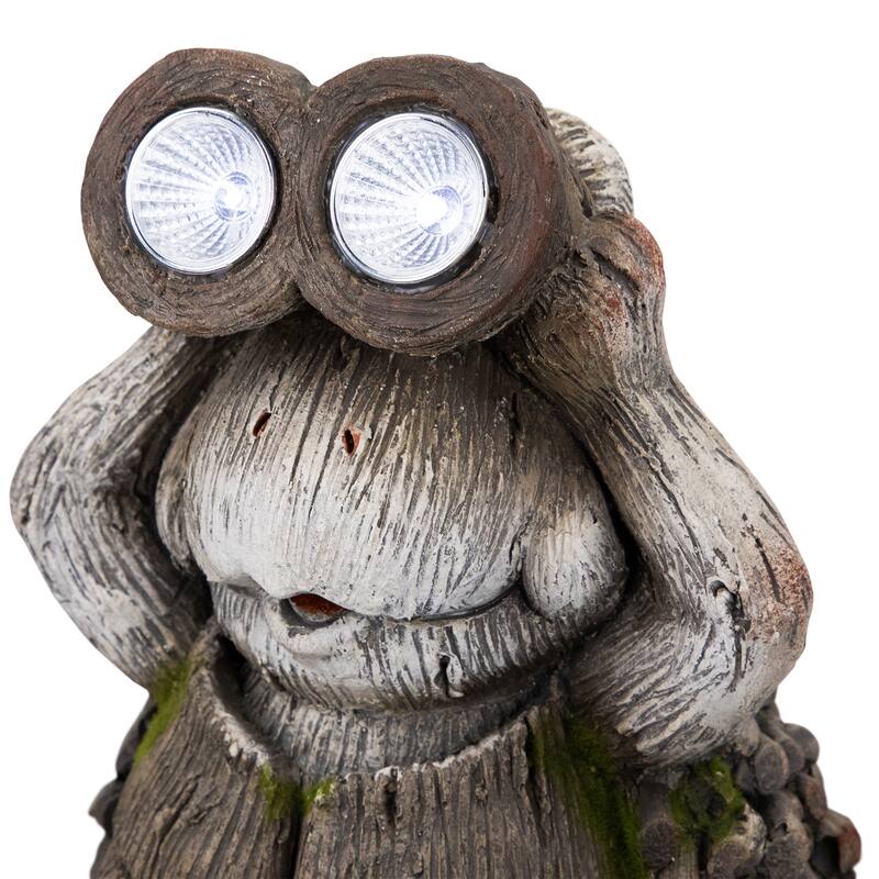 Turtle with Binoculars Outdoor Solar Lighted Garden Statue - 11.5"