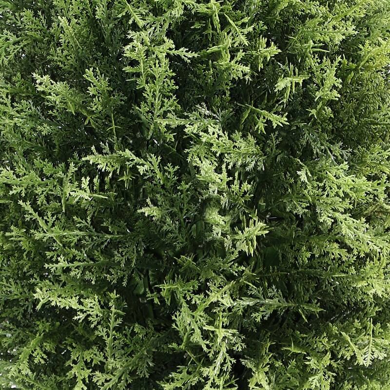 National Tree Company 26-inch Artificial Cypress Tree - 26 in
