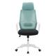 Option Teal