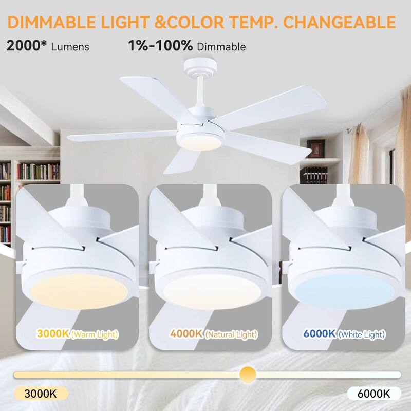 46 and 52 Inch Modern Ceiling Fan with LED and Remote 5 Plywood Dual Side Blades Remote and APP Control for Living Room Bedroom