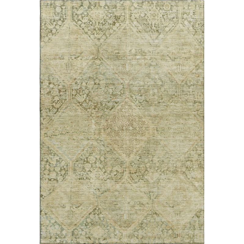 Premium Washable Super Soft Vintage Traditional Mayfield Rug
