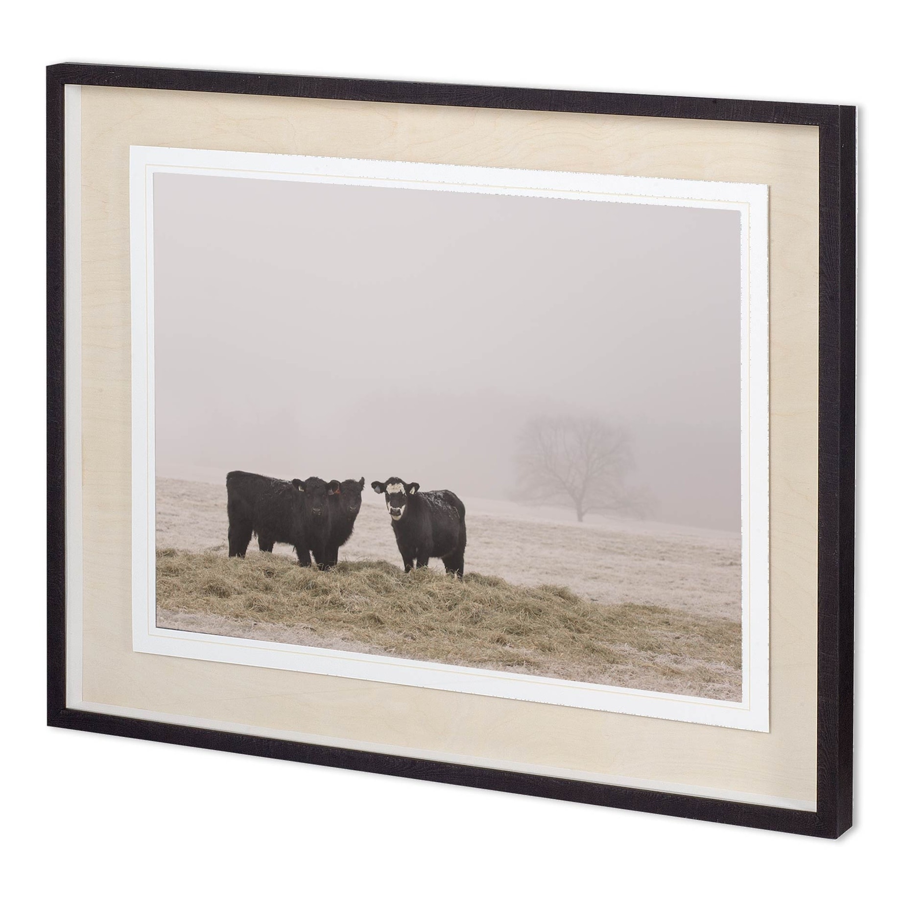 Custom Farm Study V by Adam Mead a Framed Photo Art Print Matted under Glass