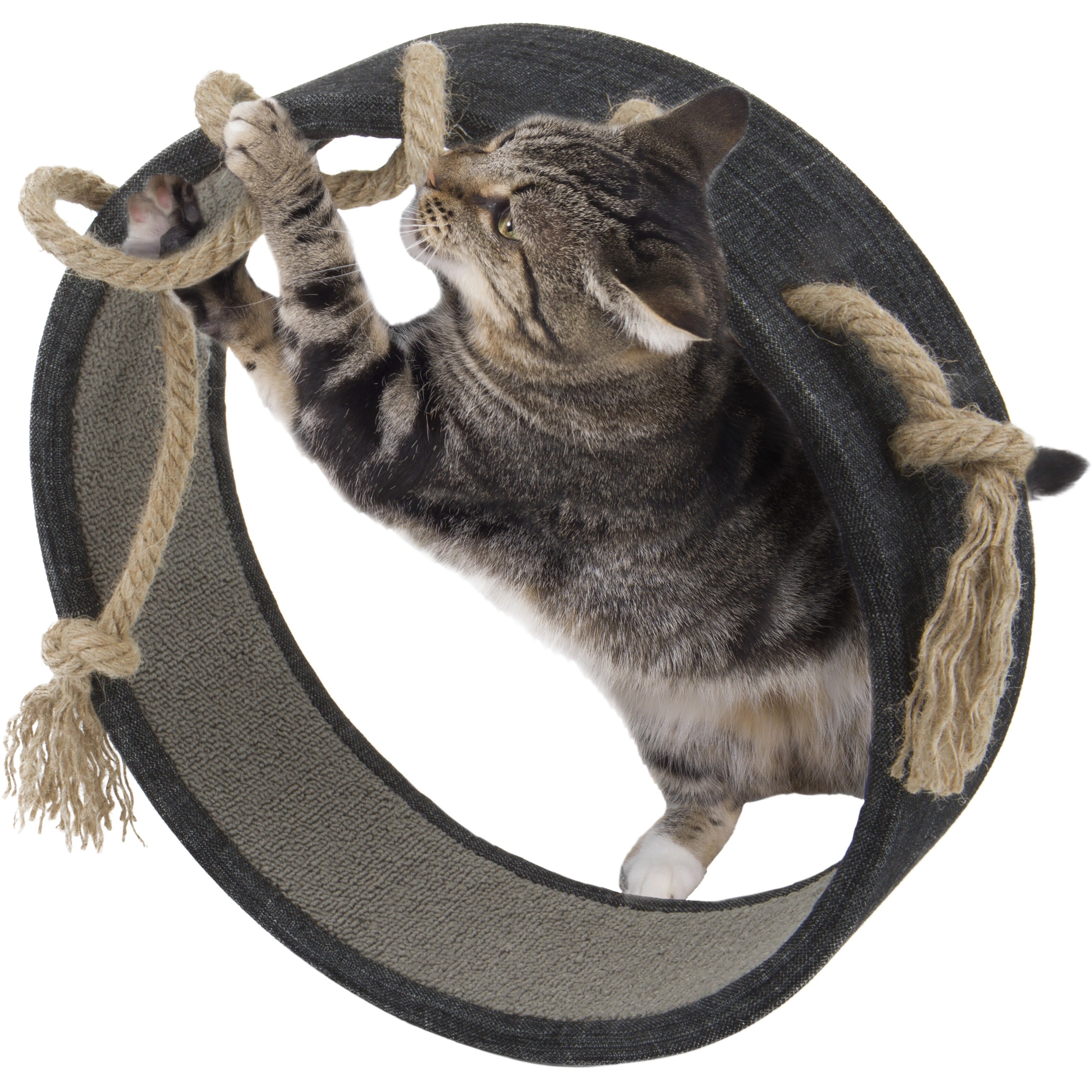 worldwise cat scratcher