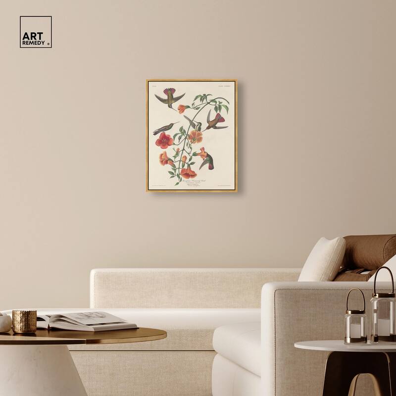 Humming Bird 1834 Canvas by Art Remedy