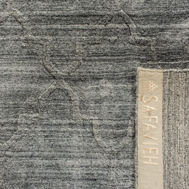 SAFAVIEH Elements Lienke Modern Viscose Rug