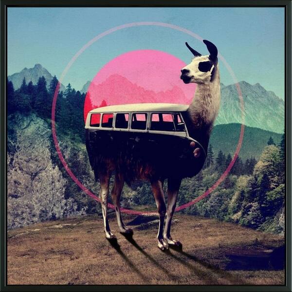 Shop Easy Art Prints Ali Gulec S Llama Premium Canvas Art