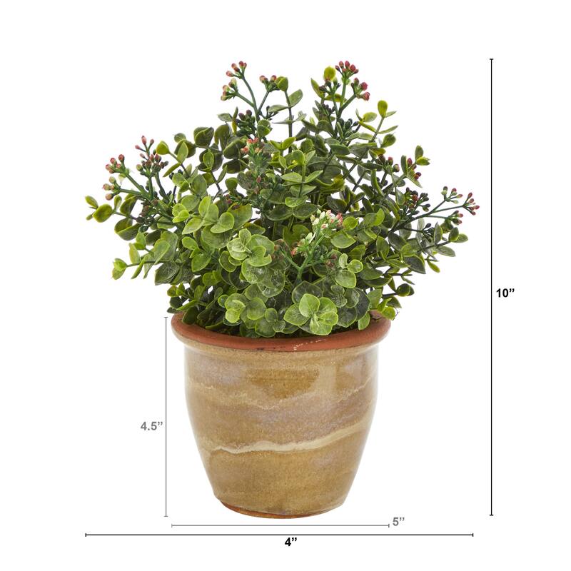 10" Eucalyptus and Sedum Succulent Artificial Plant in Ceramic Planter
