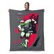 preview thumbnail 39 of 62, Nickelodeon Teenage Mutant Ninja Turtles Silk Touch Throw Blanket