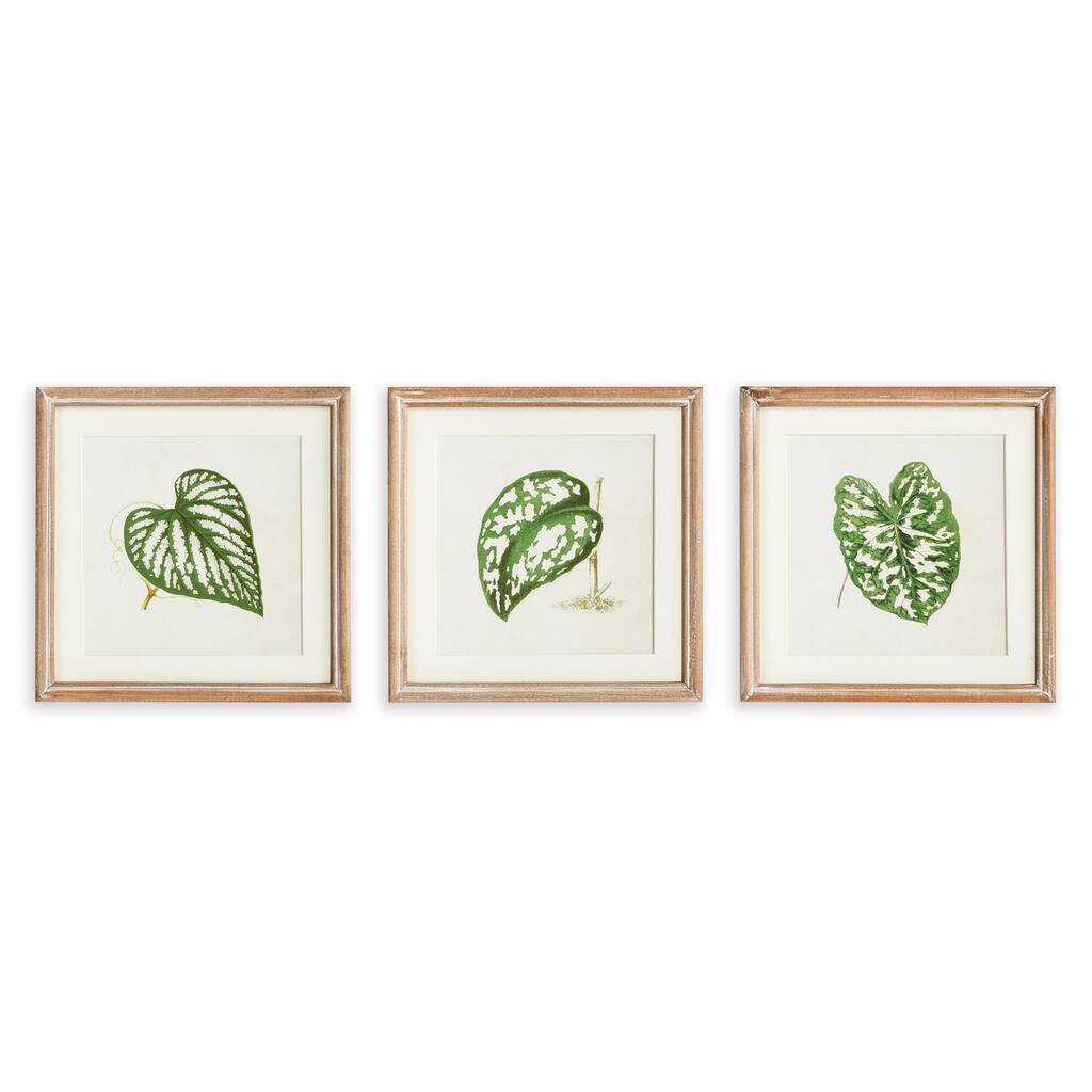 Leaf Cuttings Petite Prints