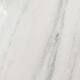 Option Arctic Fall Solid Surface