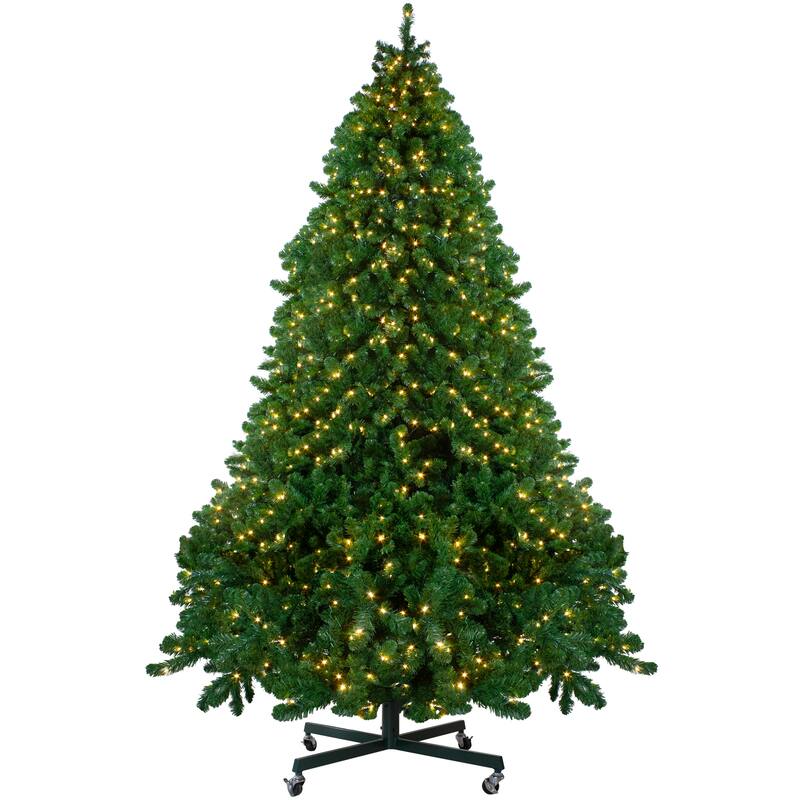 12' Pre-Lit Full Olympia Pine Artificial Christmas Tree - Warm White Lights