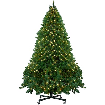 12' Pre-Lit Full Olympia Pine Artificial Christmas Tree - Warm White Lights