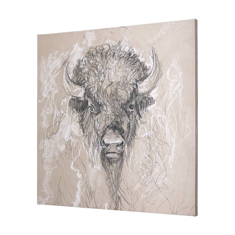 Sketch of Animal IX (Bison) (30 x 30) Canvas Art Print