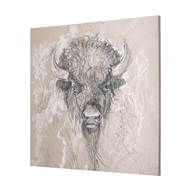 Sketch of Animal IX (Bison) (44 x 44) Canvas Art Print