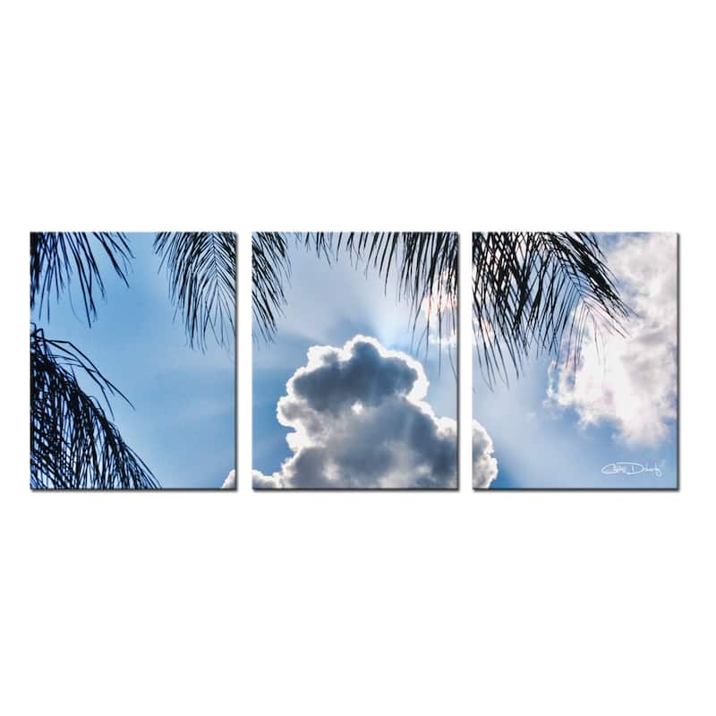 Ready2HangArt 'Cloudy Palms' 3-Piece Canvas Wall Art Set