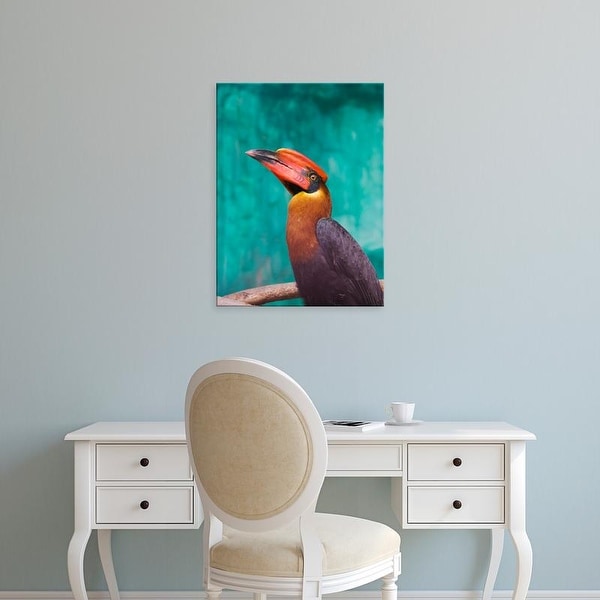 Easy Art Prints Keren Su's 'Rufous Hornbill Ii' Premium Canvas Art