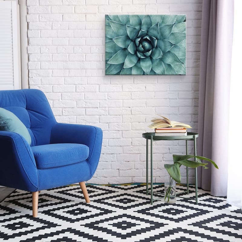 Agave Canvas Art Print