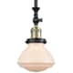 Option Black Antique Brass / Matte White