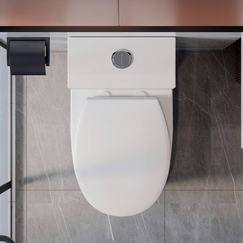 HOROW One Piece Elongated Toilet in White 0.8/1.28 GPF High Efficiency Dual Flush with Soft Closing Seat - N/A