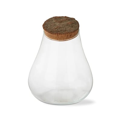 Recycled Glass Slant Top Terrarium