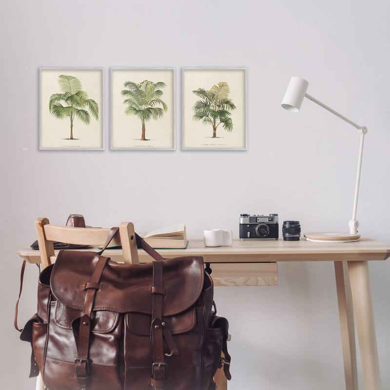 Stupell Les Palmiers Botanical Trio Framed Giclee Art Design by World Art Group (Set of 3)