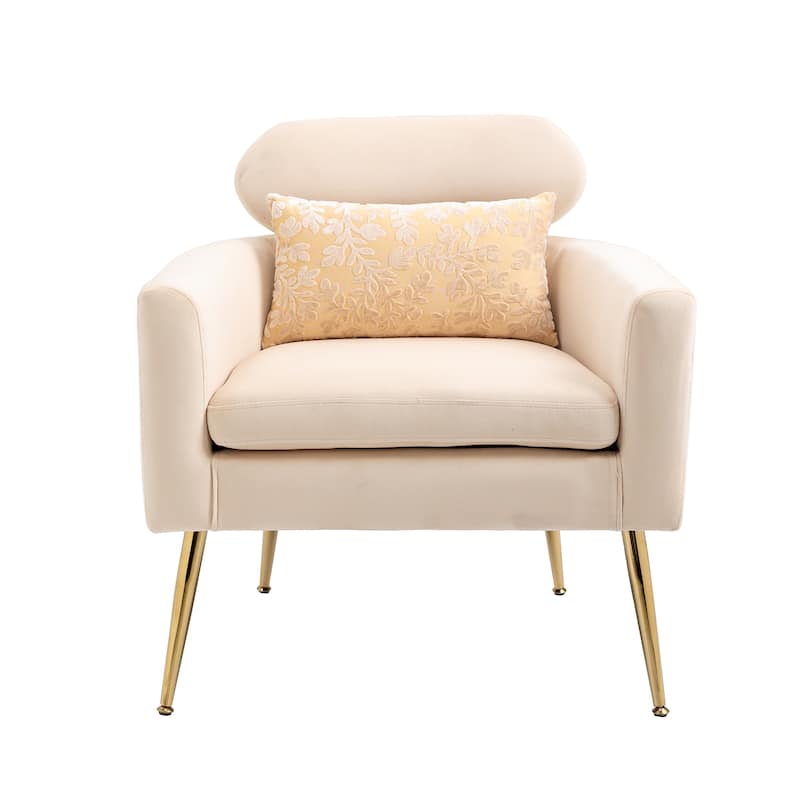Velvet Upholstered Accent Chair With A Pillow
