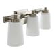 preview thumbnail 10 of 14, Robert Stevenson Lighting Sullivan Park - Glass and Metal Vanity Light