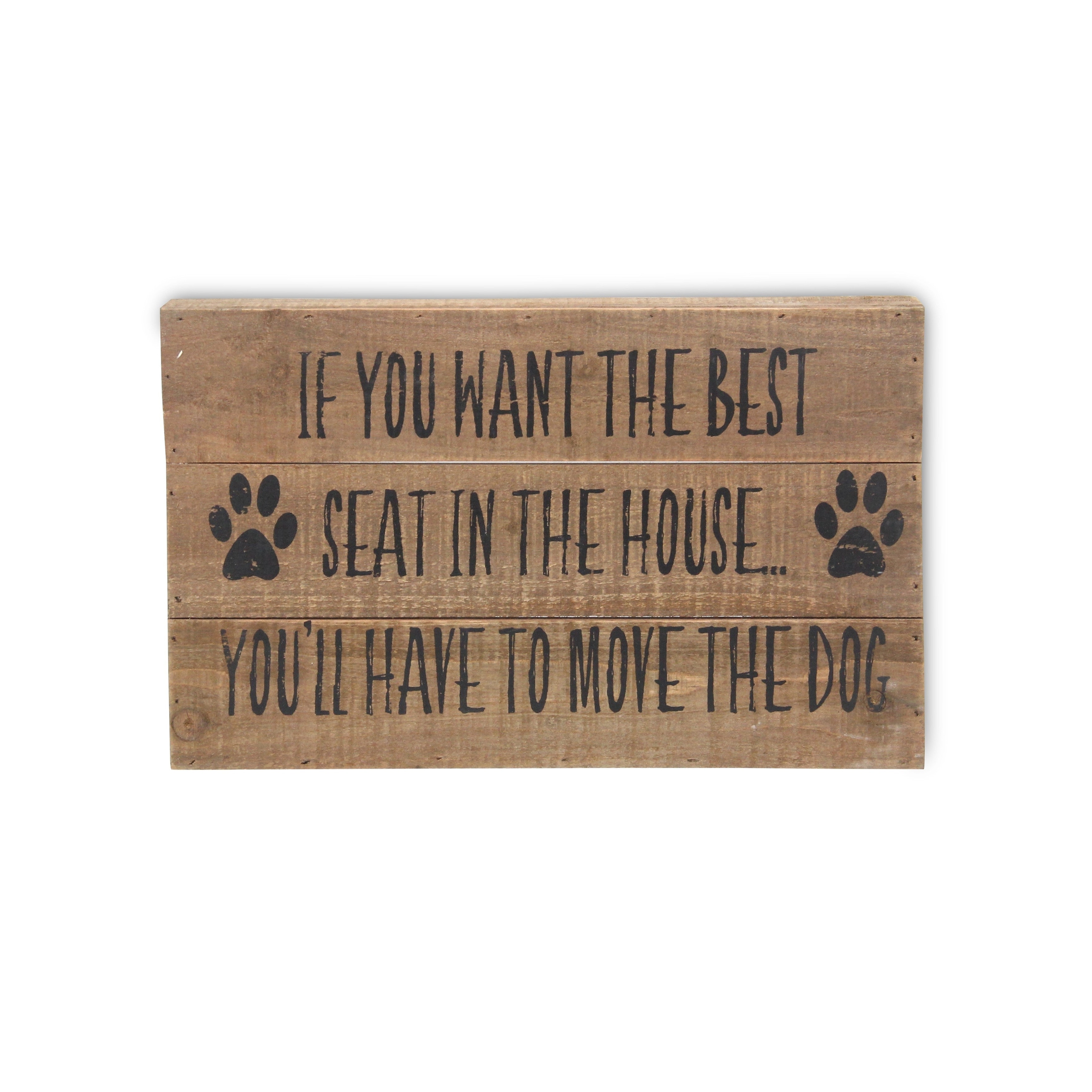 If you want the best seat in the house move the dog top