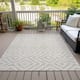 Option Ivory