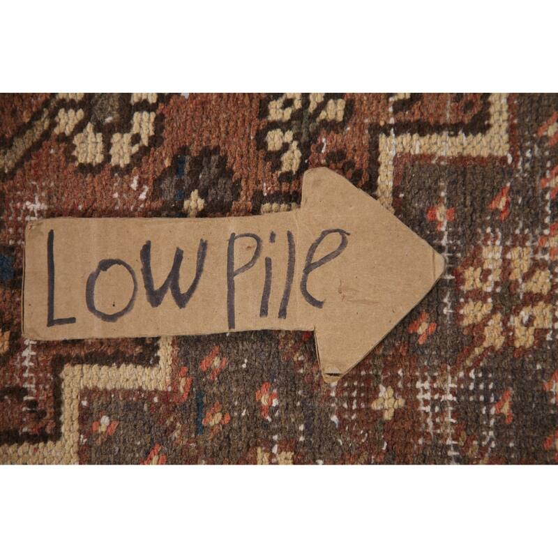 Hand Knotted Oriental 100% Wool Carpet Traditional Tribal Brown Bakhtiari Area Rug - 9' 10'' X 6' 2''