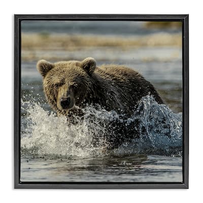 Stupell Bear Splashing in River Framed Floater Canvas Wall Art Design By Danita Delimont