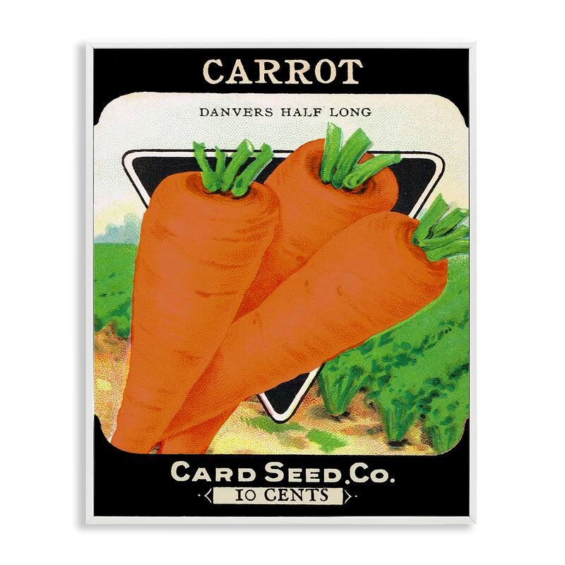 Stupell Vintage Garden Carrots Framed Giclee Art Design By Lil' Rue - 16 x 20 - White